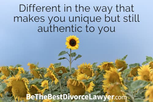  Different in the way that makes you unique but still authentic to you!