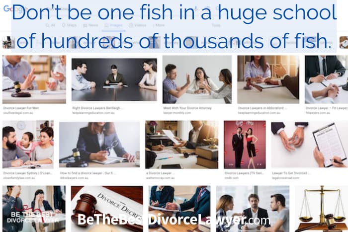 Don't simply be a fish in a school of marketing lawyers! For you to have the slightest chance of attracting great family law clients, you need to have your potential clients be able to find YOU! Don't be one fish in a huge school of hundreds of thousands of fish!